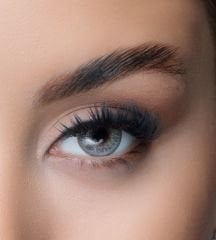Diego Lens Swan