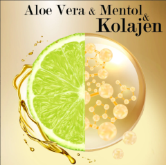 Duru Şampuan Kolajen Aleovera Mentol 500 Ml